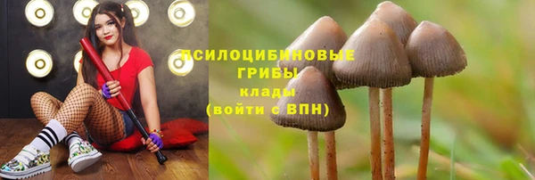 кристаллы Вязьма