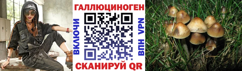 Псилоцибиновые грибы ЛСД  Динская 
